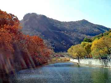 新澳天天开奖资料大全旅游团，我的爸爸是丧尸